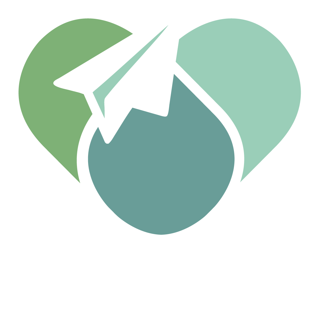 LOGO_LLR_final_weiss