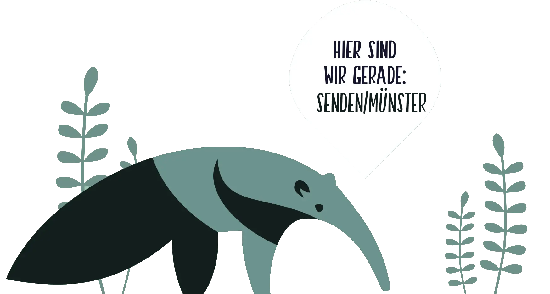 Norbaert_Senden