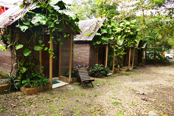 Chaak_Calakmul2