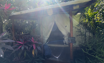 Tulum_Huaya-CAmp