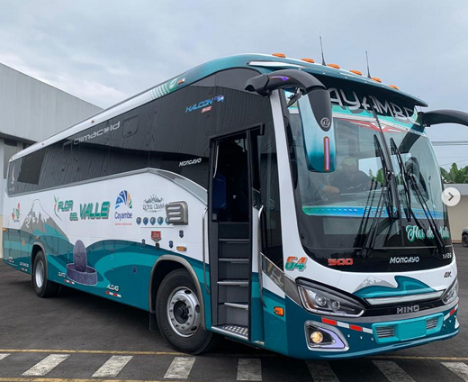 Flor-de-Valle-Bus