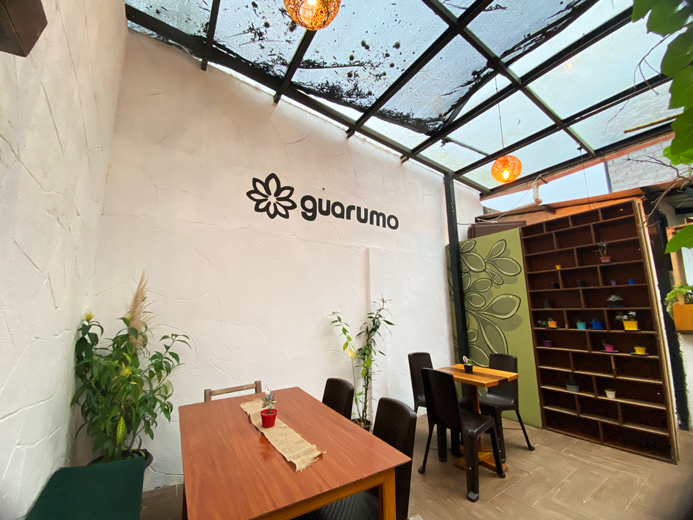 Guarumo