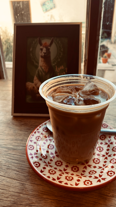 Llama_Cafe_4