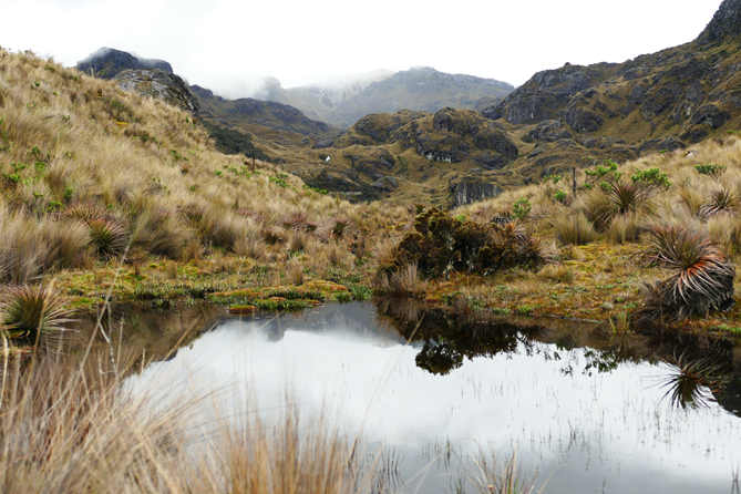 cajas_31