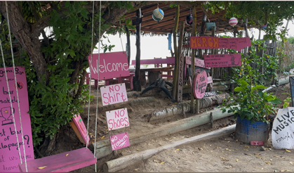pink-iguana_5