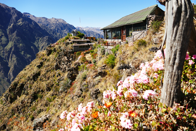 Colca_Canyon_24