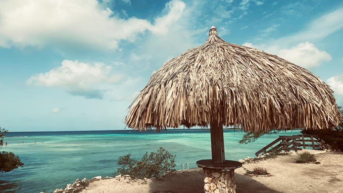 Mangel_Halto_Beach_Aruba_1