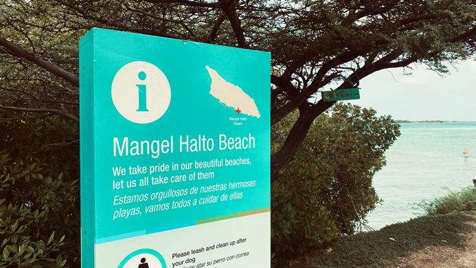Mangel_Halto_Beach_Aruba_5