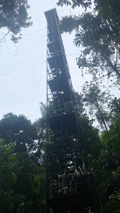 Tower