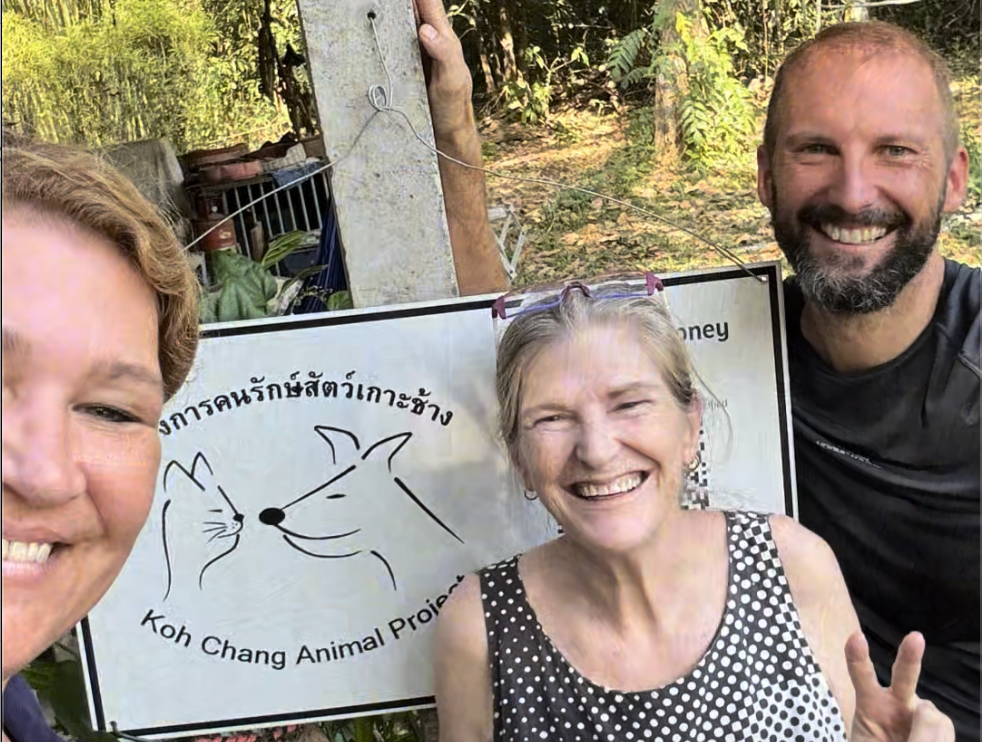 Kleine Meeresschildkröten in einer Rettungsstation in Sri Lanka