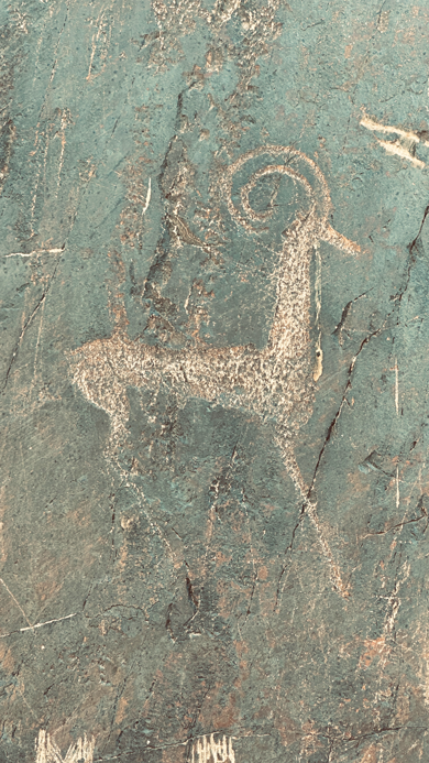 Sarmishsay_Pteroglyphen_10