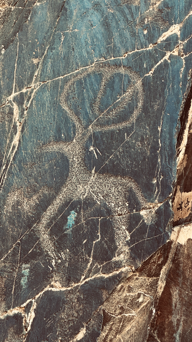 Sarmishsay_Pteroglyphen_12