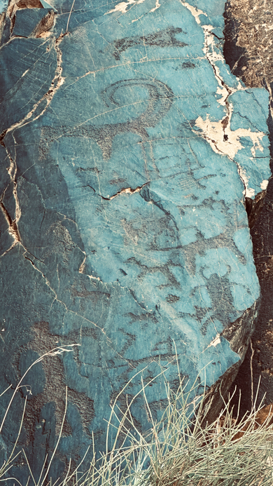 Sarmishsay_Pteroglyphen_16