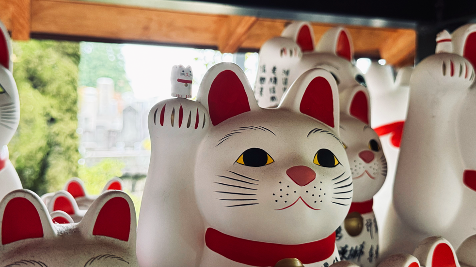 Katzentempel_Tokio_1.0