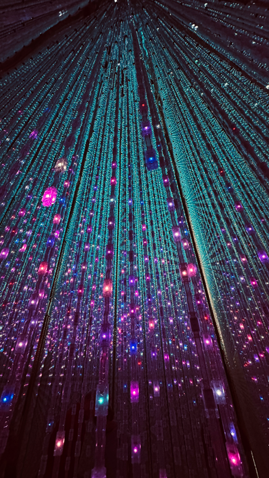 TeamLab_Planets_5