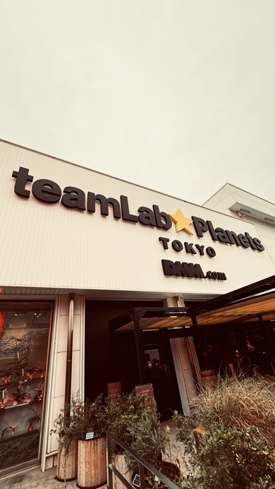 TeamLab_Planets_Ein-gang