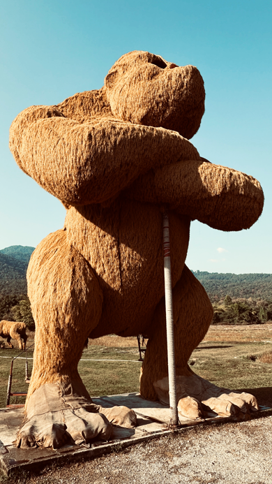 Huay-Tueng-Thao-Sculpture-Park_3