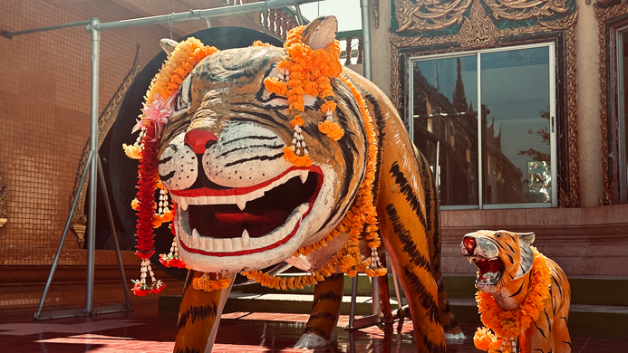 Tiger-Cave-Temple_4