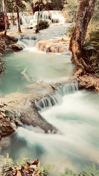 Kuang_Si-Wasserfall_8
