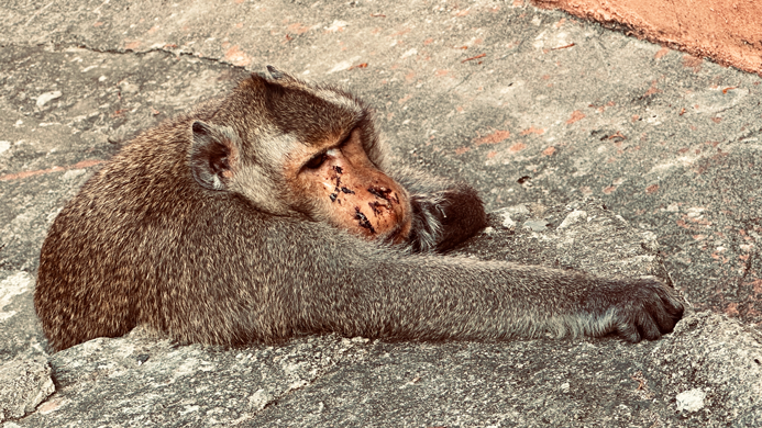 Battambang_25