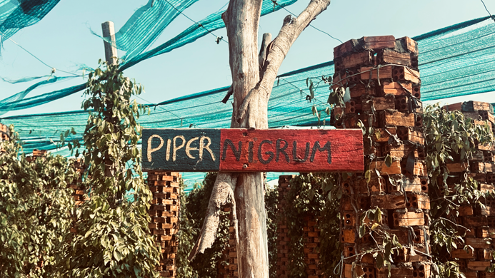 Kep_12