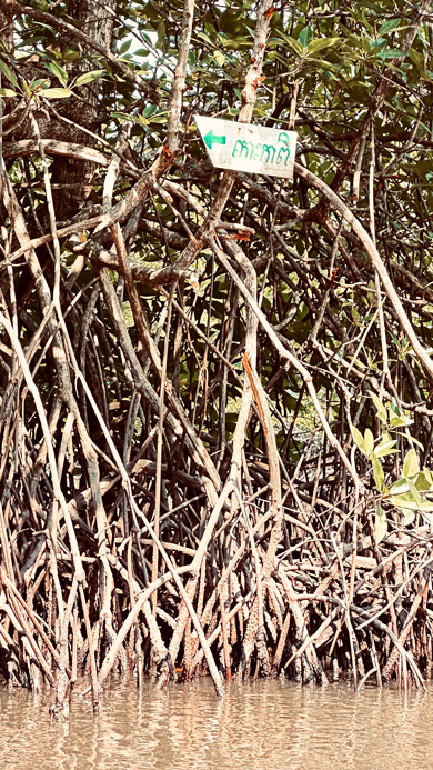 Tatai_5